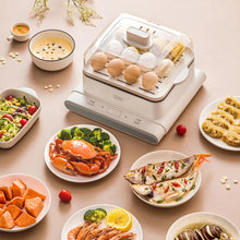 Load image into Gallery viewer, Food dryer