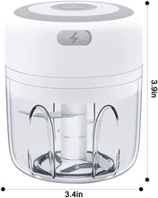 Load image into Gallery viewer, 100/250mL Electric Mini Food Chopper meat chopper
