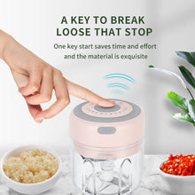 Load image into Gallery viewer, 100/250mL Electric Mini Food Chopper meat chopper
